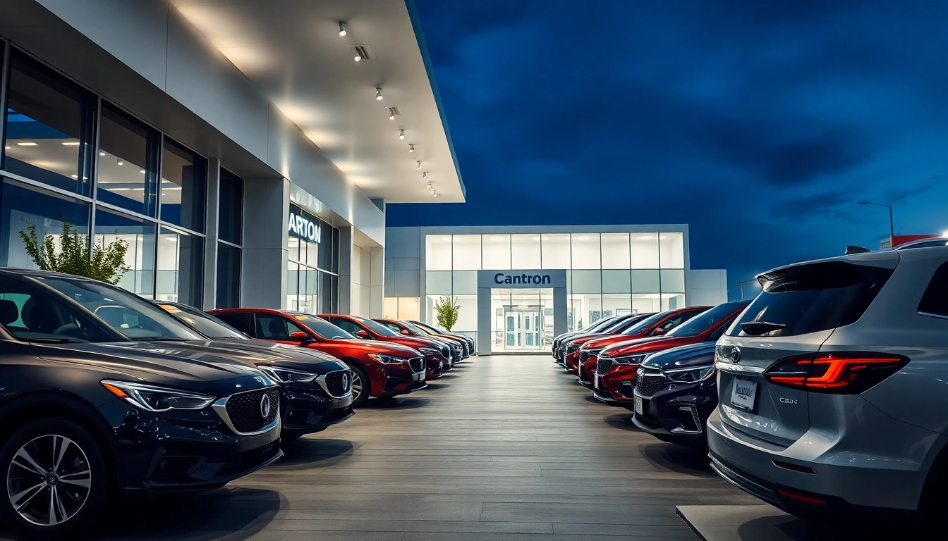 Impressive used cars showcased for compro auto usate ritiro immediato with professional staff